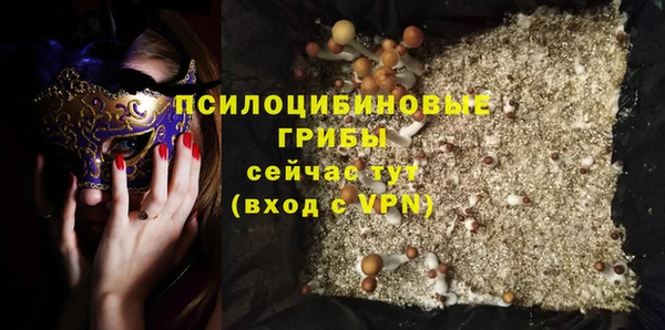 мдпв Арсеньев