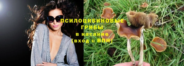 Альфа ПВП Аркадак